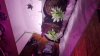 20190212_075741.jpg