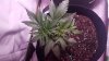 20190212_075805.jpg
