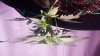 20190212_075824.jpg