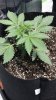 thumbnail_IMG_4173.jpg