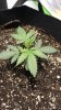 thumbnail_IMG_4174.jpg