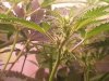 20130315_111616495887985.jpg