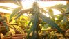 DSCF1072.jpg