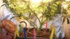 DSCF1073.jpg