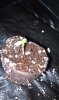 IMAG0033.jpg