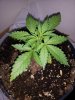 20130318_121247.jpg