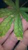 2013-03-19_19-41-17_825.jpg