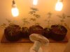 2013-03-19 16.03.48.jpg