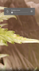 Screenshot_2019-02-24-10-35-03.png