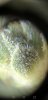 Screenshot_20190301-015255.jpg