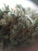 IMG-20190301-WA0000.jpg