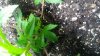 20190313_094717.jpg