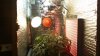 100_0447.jpg