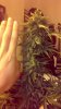 2013-03-24_16-54-01_468.jpg