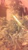 2013-03-24_16-53-49_129.jpg