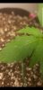 Screenshot_20190323-182143_Gallery.jpg