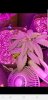 Screenshot_20190402-140541_Gallery.jpg