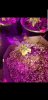 Screenshot_20190402-140552_Gallery.jpg