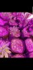 Screenshot_20190403-043308_Gallery.jpg