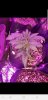 Screenshot_20190402-140547_Gallery.jpg