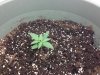 Day 12 S#1.jpg