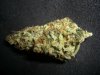SOUR JACK_3-23-13 2.jpg