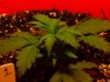 IMG_20130326_193022.jpg