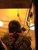 IMG_2197.jpg