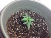 Day 16 S#1.jpg