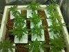 2013-03-28_23-39-25_457.jpg