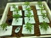 2013-03-26_00-02-55_122.jpg