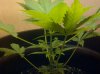 IMG-20130328-00016.jpg
