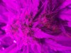 2019-04-06-12-19-41-139.jpg