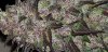 20190417_131950.jpg