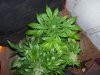100_0076.jpg