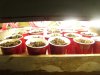 100_0060.jpg