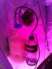 IMG_20130331_150633.jpg