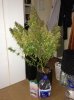 image-536201924.jpg