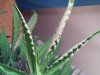2013-04-02 21.57.07.jpg