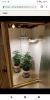 Screenshot_20190424-151230.png
