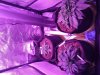 IMG_20190429_162829365.jpg
