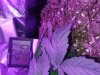 IMG_20190501_235701084.jpg