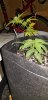 20190504_202440.jpg