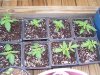 100_0134.jpg