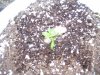 100_0139.jpg