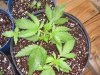 100_0140.jpg