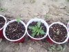 100_0152.jpg