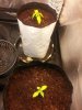 20130403_235240.jpg