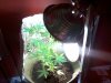 130404_001.jpg