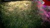 2013-04-06-1278.jpg